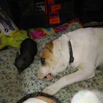 Profile Picture of Jerry Gibson (@jerry.gibson.771282) on Instagram