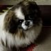 Profile Picture of Jiri Dostal (@jiri.dostal.1044) on Facebook