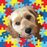 Profile Picture of Julia Slade (@julia-slade-9) on Quora