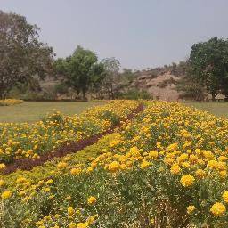 Profile Picture of Sundar (@sundarmurthy944) on Twitter