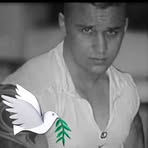 Róbert Frejberg - Facebook Profile Picture of Róbert Frejberg (@Róbert-Frejberg) on Facebook