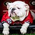 Profile Picture of Paul Mccleskey (@paul.mccleskey.12) on Facebook