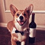 Profile Picture of Christopher McGregor (@titusbobitus) on Instagram