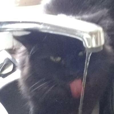 Joel Mchale Shouting 'YEAH' - Twitter Profile Picture of Joel Mchale Shouting 'YEAH' (@chunachana) on Twitter