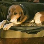 Profile Picture of colin (@colinmeeks983673) on Instagram