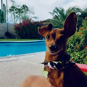 Marianne Selby - Pinterest Profile Picture of Marianne Selby (@auntiem2909) on Pinterest