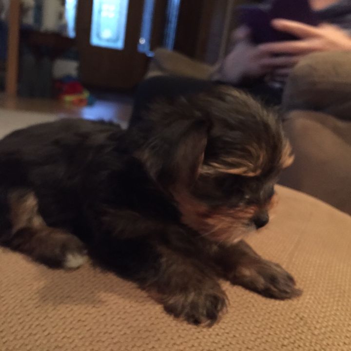 Profile Picture of Kyle Mccutchen (@kyle_mccu) on Tiktok