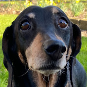 Profile Picture of Guy Askew (@askgee111) on Youtube