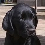 Profile Picture of Mark Heathcote (@mark_heathcote) on Instagram