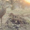 Profile Picture of RoyRiddle5668 (@@royriddle5668) on Tiktok