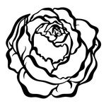 Profile Picture of Danielle Kehl (@daniellekehl_mx) on Instagram