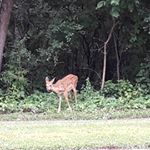 Profile Picture of Guy Donahue (@donahueguy) on Instagram