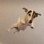 Profile Picture of Amanda Rogawski (@amandarthvader_) on Instagram