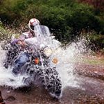 Profile Picture of Dan Curran (@country_doc) on Instagram