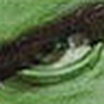 Profile Picture of George Robertson (@grob0) on Flickr