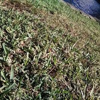 Profile Picture of David Rollen (@david-rollen) on Quora