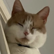 Profile Picture of Kevin Castrillon (@kevincastrillon5876) on Youtube