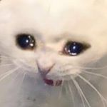 Profile Picture of Daniel Dominiak🏃‍♂️⚡ (@d2runner437) on Instagram