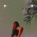 Profile Picture of Tatiana Ojeda (@Tatiana-Ojeda) on Facebook