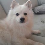 Profile Picture of LOLLIPOPXDFDD0   markeli (@make_48) on Instagram