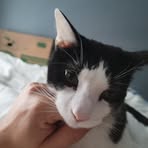 Profile Picture of James Crogan (@james.crogan.2025) on Facebook