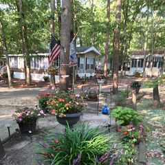 Profile Picture of ginasettembrino (@ginasettembrino) on Tiktok