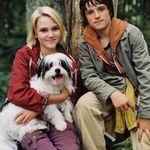 Profile Picture of Maduzinha Moretti Pinsan (@mc.bryan.rodrigues70) on Instagram