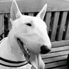 Profile Picture of Steven Hubbard (@realsmort) on Tiktok