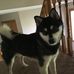 Profile Picture of Ashley Barrett (@ashley.barrett.33483) on Facebook