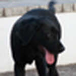 Profile Picture of Carlos J. Guerrero Aguilera (@carlos j. guerrero aguilera) on Flickr