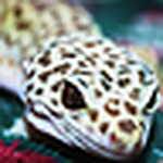 Profile Picture of Peterson_bree (@peterson_bree) on Flickr