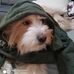 Profile Picture of Peter Aragon (@peter.aragon.7140) on Facebook