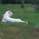 Profile Picture of Kim Finja Lerche (@kimfinjalerche) on Instagram