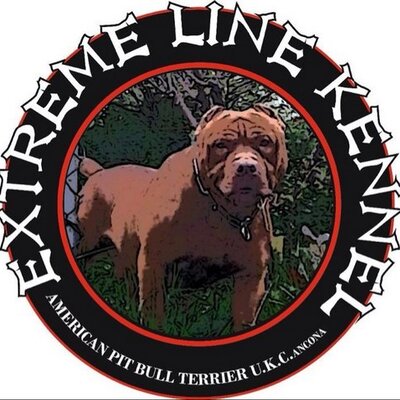 Profile Picture of Extreme Line Kennel (@andrealine_rush) on Twitter