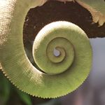 Jesse Spaar - Instagram Profile Picture of Jesse Spaar (@jessespaar) on Instagram