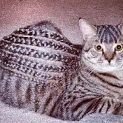 Profile Picture of Peter Sams (@petersams5054) on Youtube