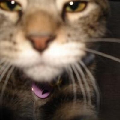 Profile Picture of Jerry Rhodes (@JerryRh18567572) on Twitter