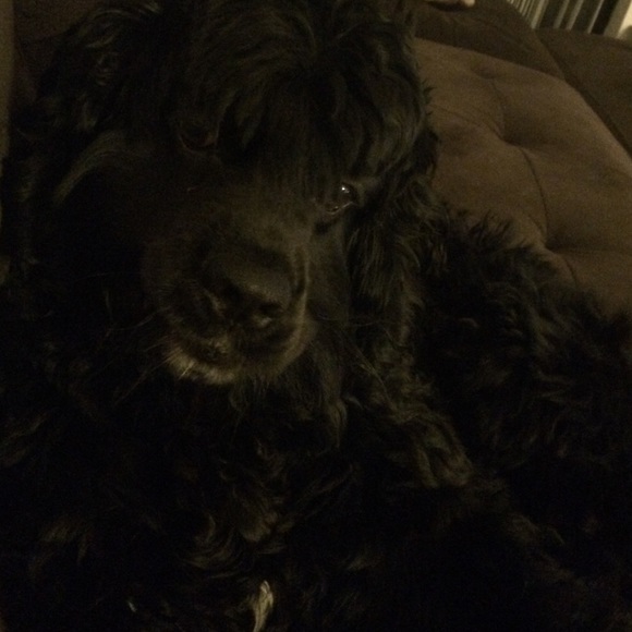 Profile Picture of Cassidy Stewart (@csstewart123) on Poshmark