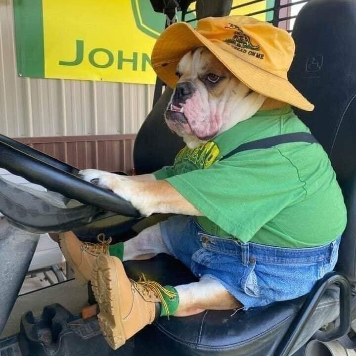 Profile Picture of Kyle Basta (@kylebasta) on Tiktok