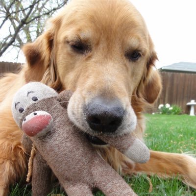 Profile Picture of Brian Whitcomb (@Oneshotwhitcomb) on Twitter