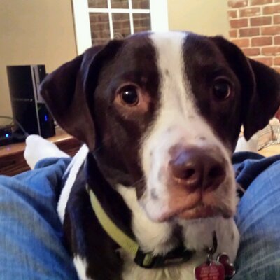 Profile Picture of Matthew Cooksey (@Mcooksey7) on Twitter