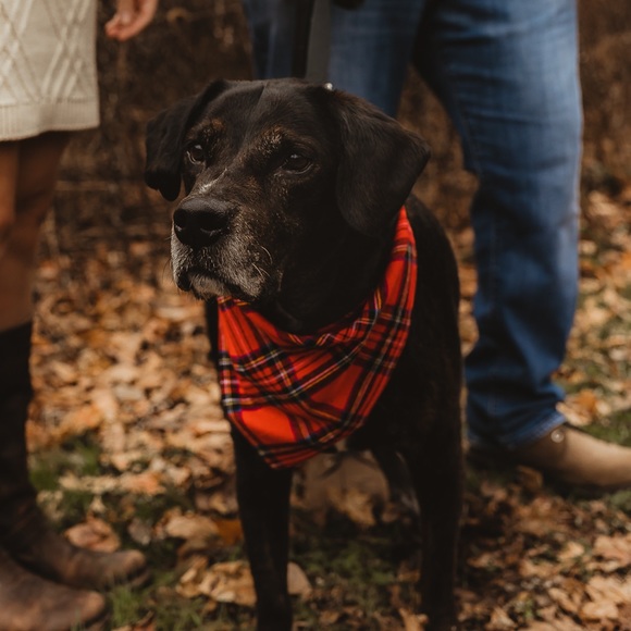 Profile Picture of Alex Breuilly (@abbreuilly) on Poshmark