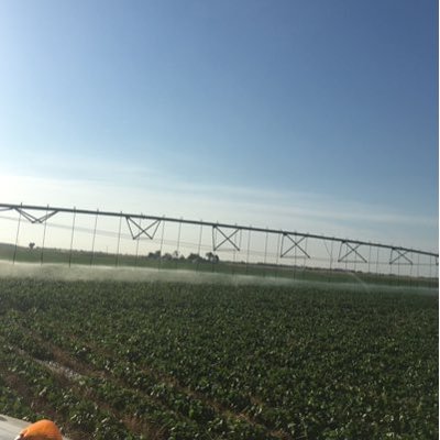 Profile Picture of Nate Meier (@n8_meier) on Twitter