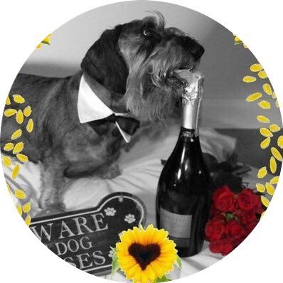 Profile Picture of Lieutenant Jelly .. Aka  Little Miss Sausage 💕💕 (@DexterMidgley) on Twitter