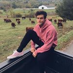 Profile Picture of JULIA DOLAN (@3ethandolan) on Instagram
