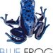 Profile Picture of Blue Frog Marketing (@BlueFrogSocial) on Pinterest