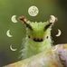 Profile Picture of Andrew Ceniceros (@andrew.ceniceros.58) on Facebook