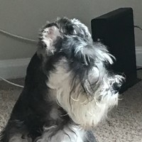Profile Picture of Allen Robbins (@allen-robbins-6) on Quora