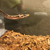 Profile Picture of Michael Wymer (@michaelwymer9053) on Youtube