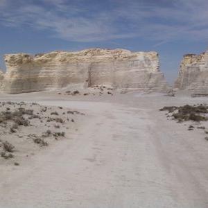 Profile Picture of Steven Lenhart (@sdl1112303) on Twitter